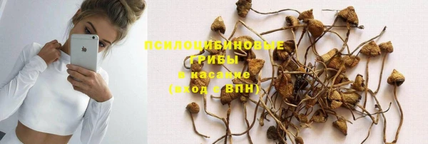 гидра Карпинск