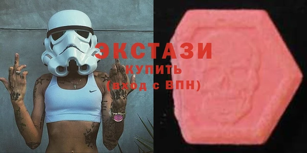 гидра Карпинск