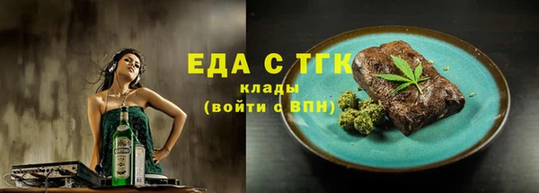 гидра Карпинск