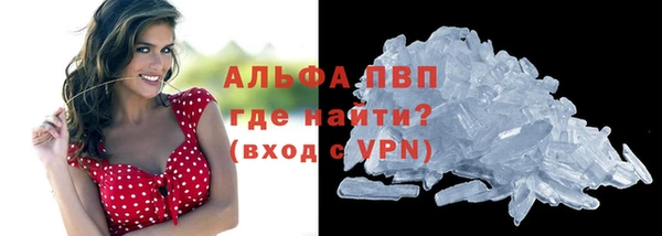 гидра Карпинск