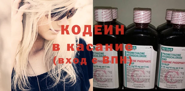 гидра Карпинск