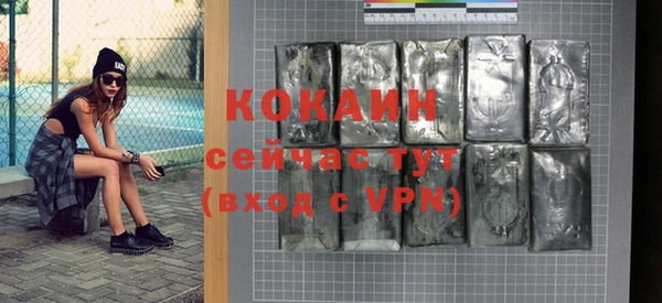 гидра Карпинск