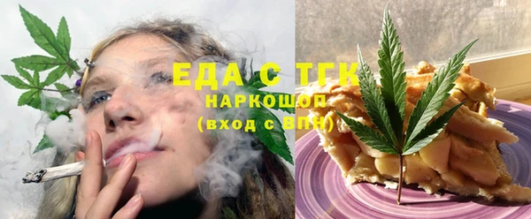 гидра Карпинск