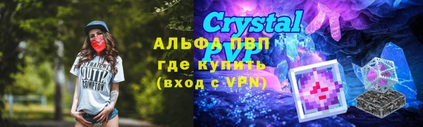 гидра Карпинск
