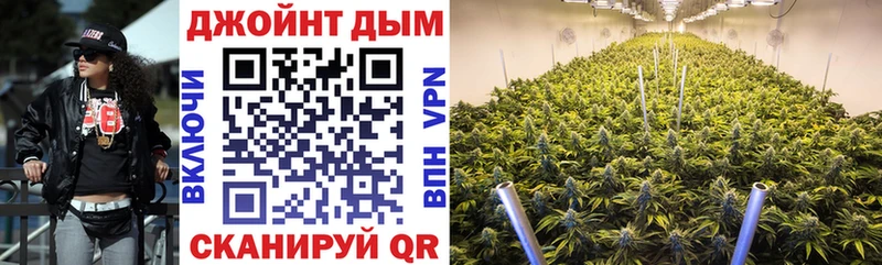 Купить закладки  Невель  Каннабис гибрид 